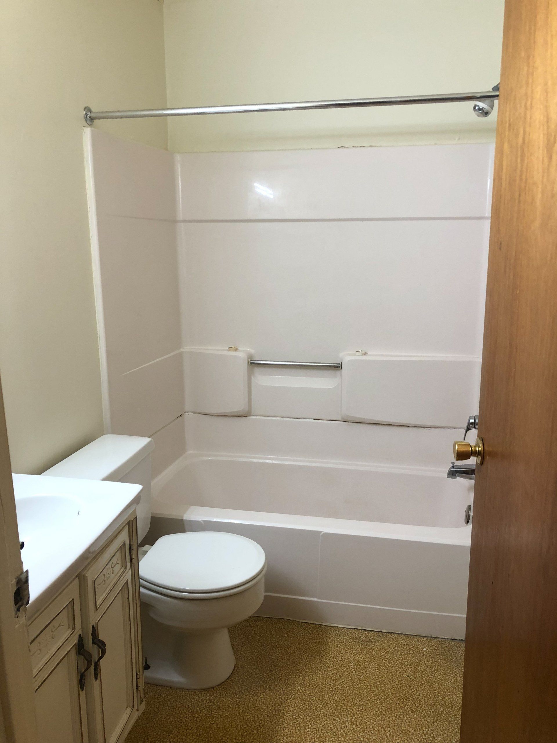 Bathroom toilet and tub with shower