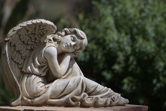 The front door of a house with a porch and plants in front of it.
