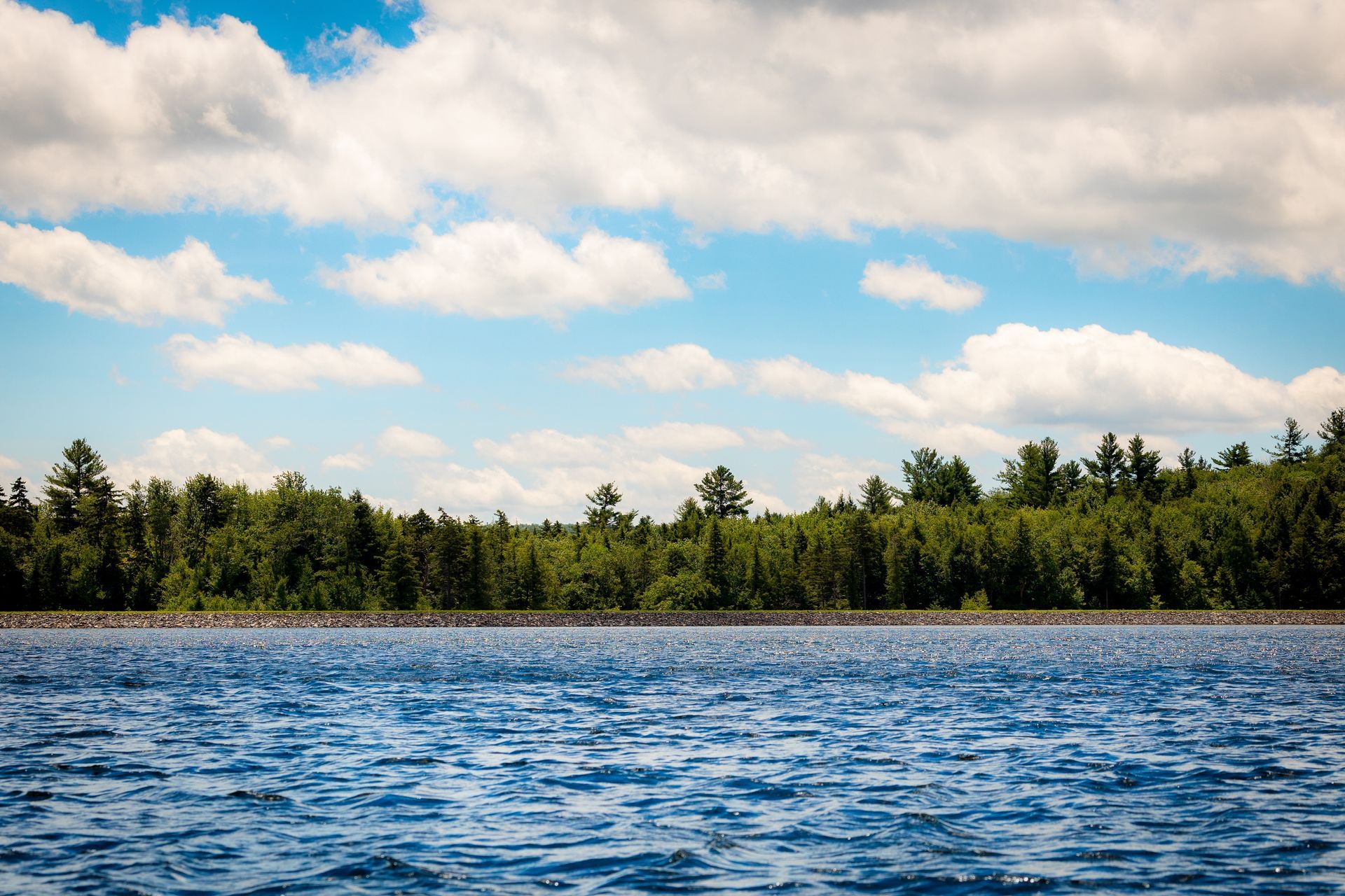 A little girl is hugging a man in a park.