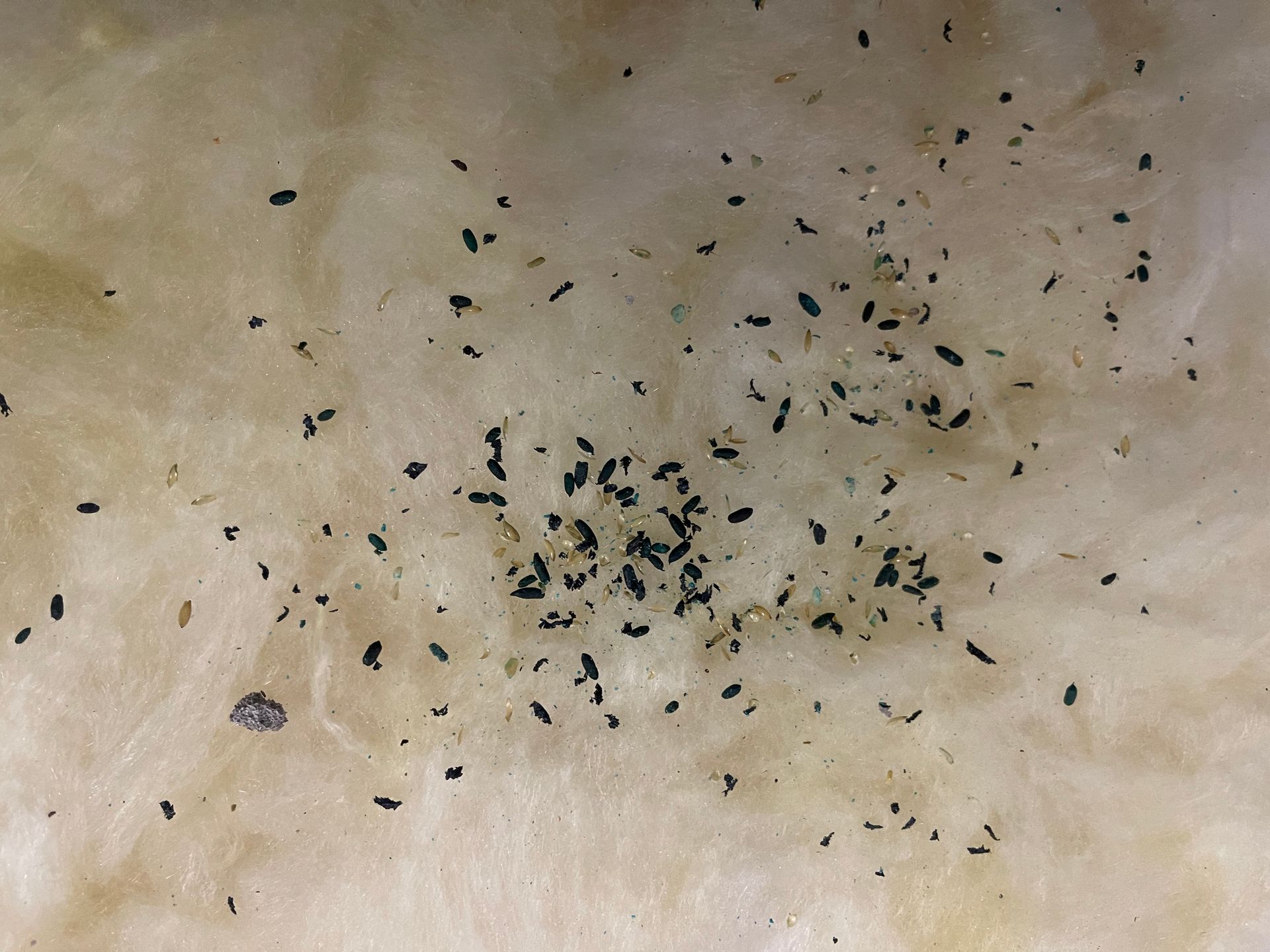 Family Enjoying the Cold Air of HVAC system - Lagrangeville, NY - RDM Move Managers