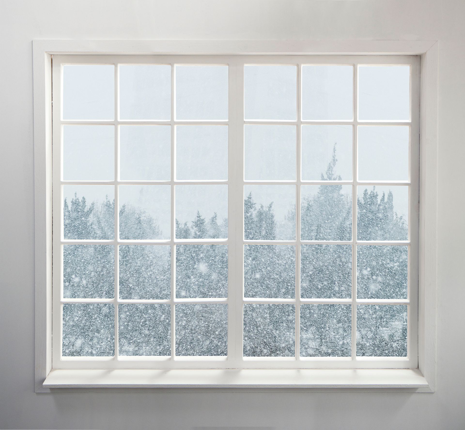 White-framed window with a grid pattern, looking out at snow-covered trees in a blurry, cold setting.