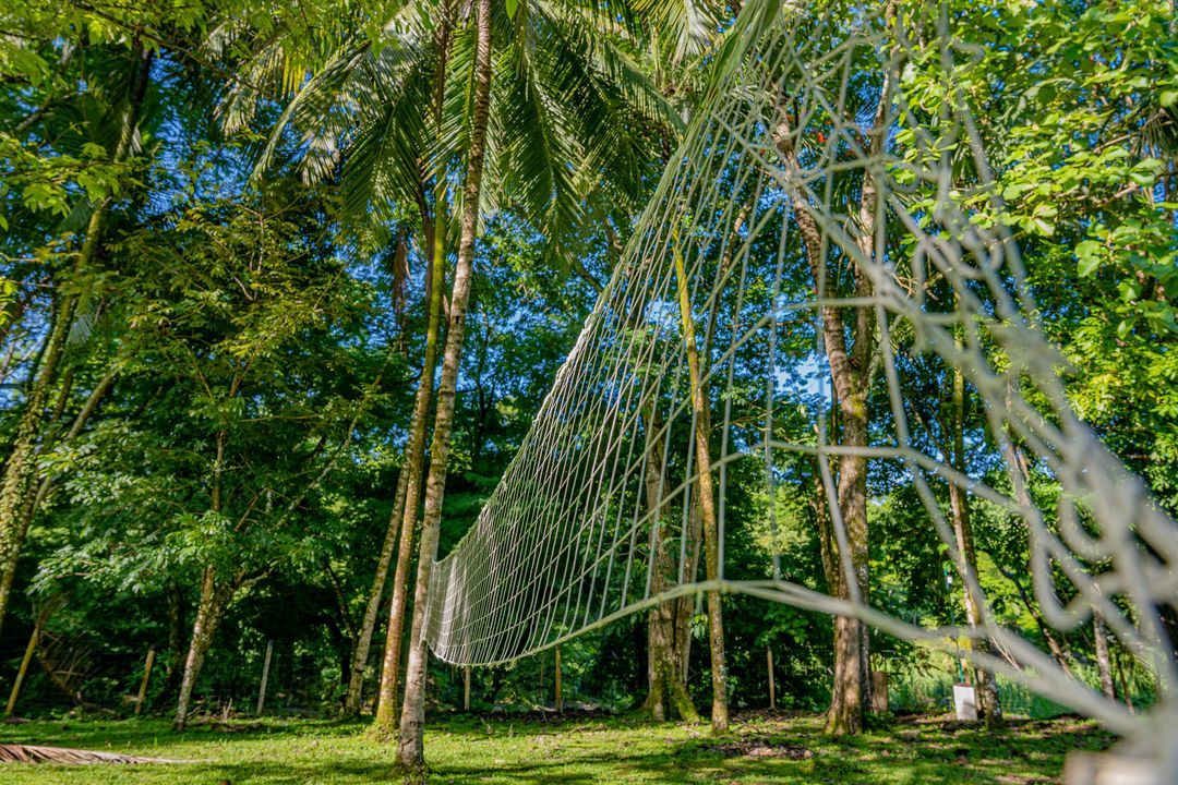 Una portería de fútbol en medio de un bosque con árboles al fondo.