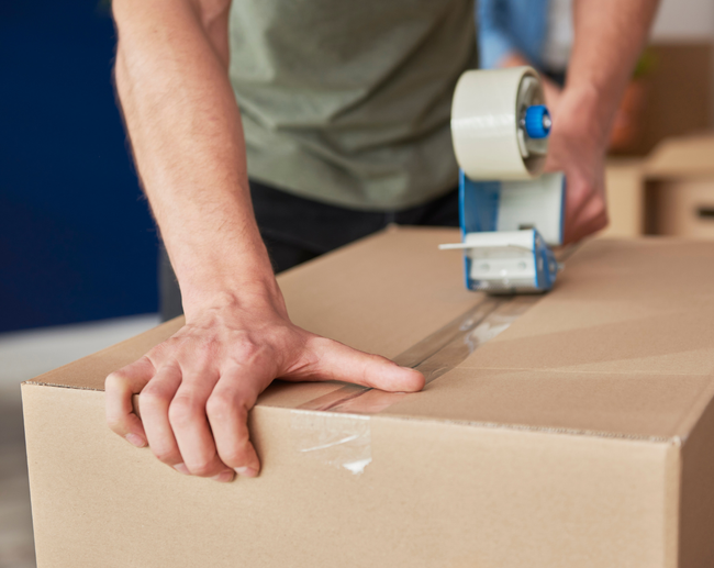 essex removal company