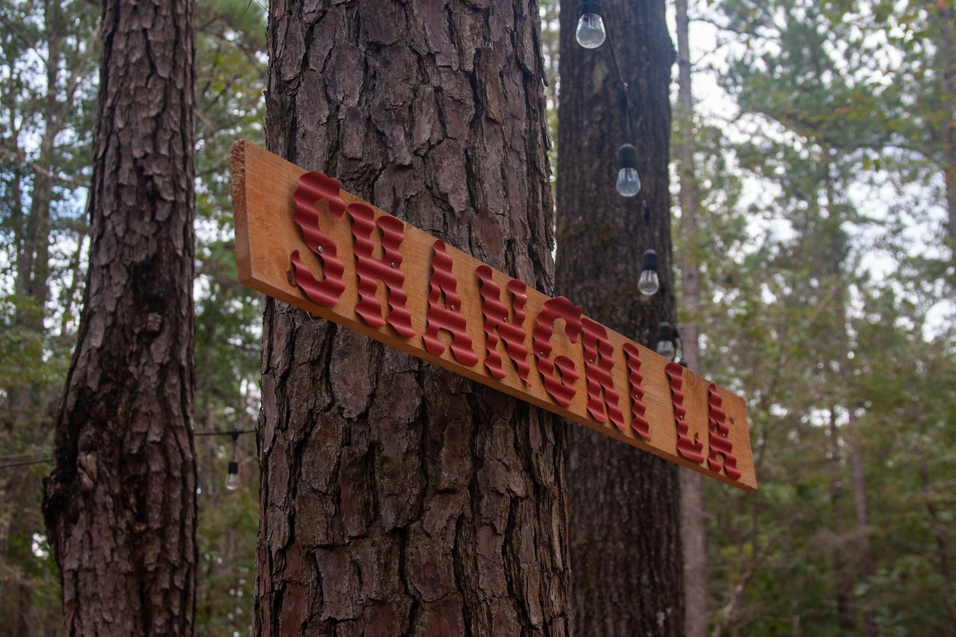 A wooden sign is hanging from a tree in the woods.