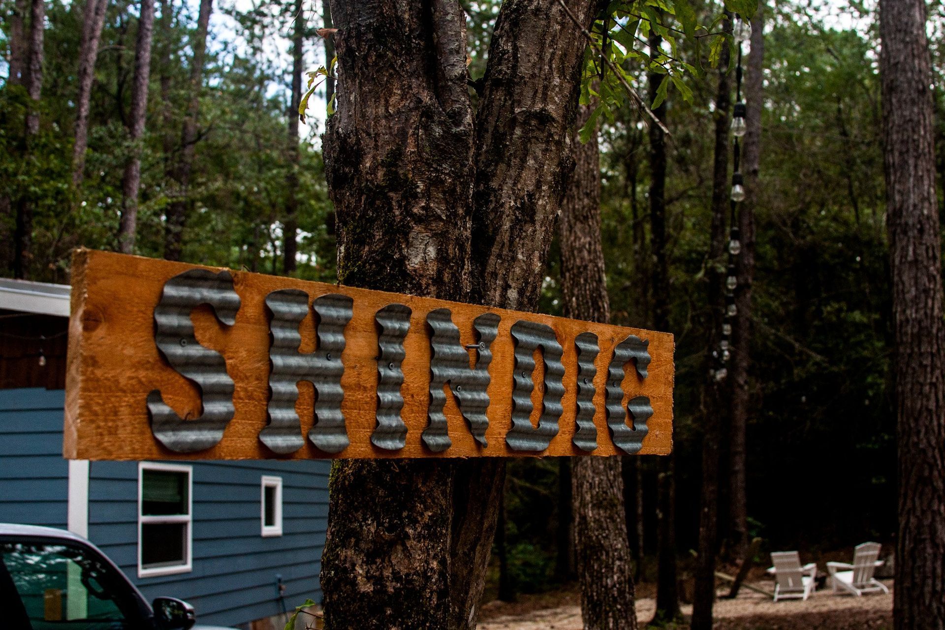 A sign that says shingle is hanging from a tree