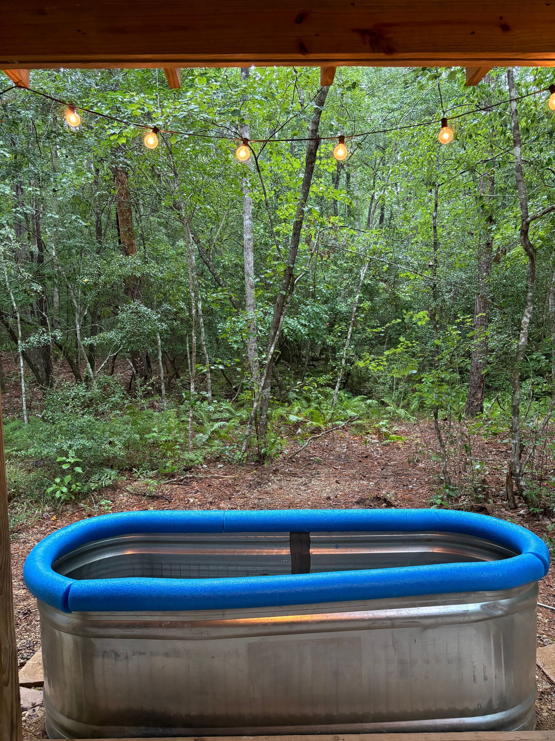 A metal tub with a blue foam cushion is sitting outside in the woods.