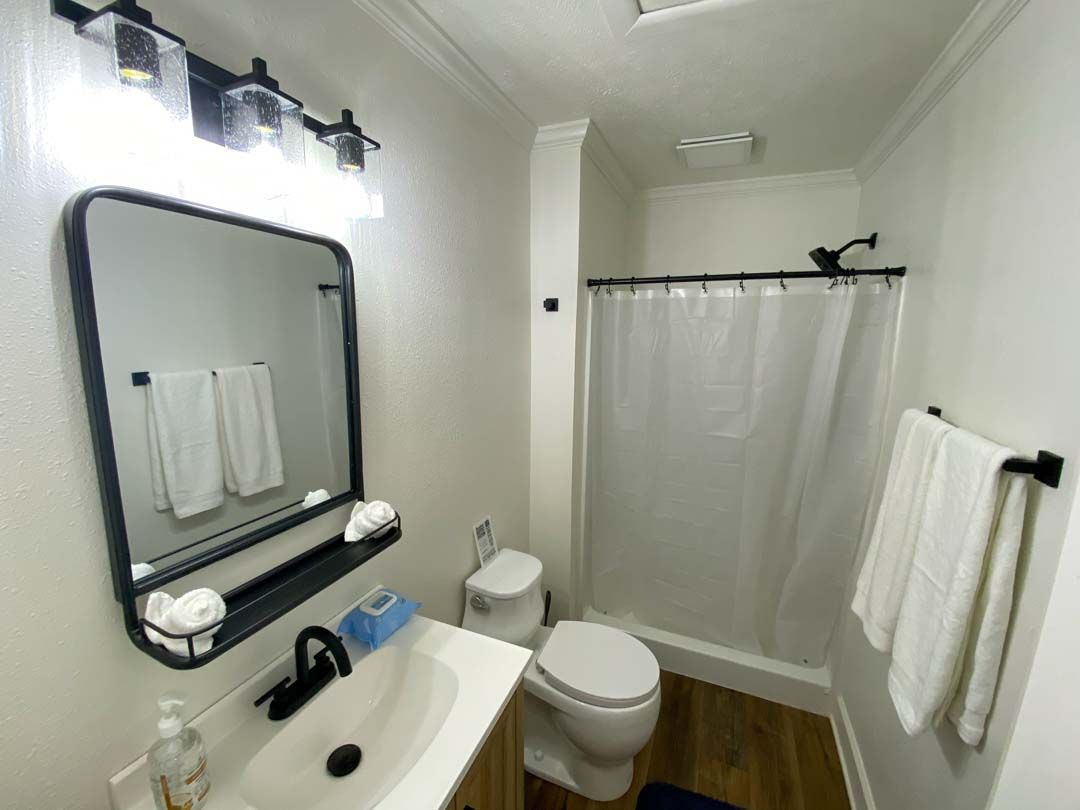 A bathroom with a toilet , sink , mirror and shower curtain.