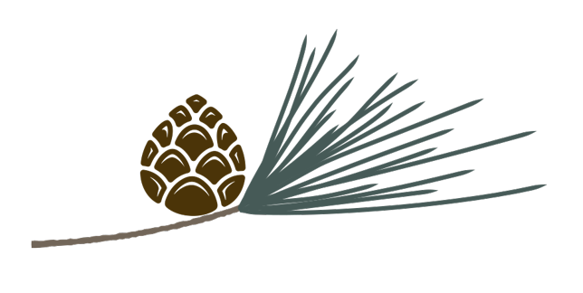 pine-cone-sprig