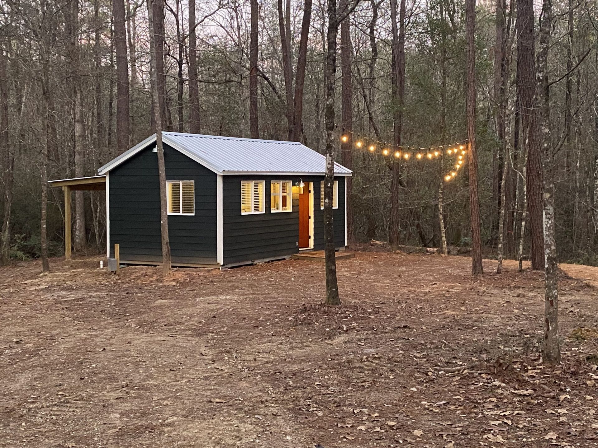 A small black house is sitting in the middle of a forest.
