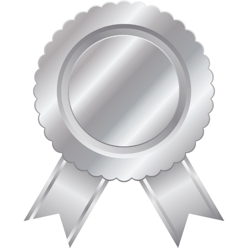 Silver Icon