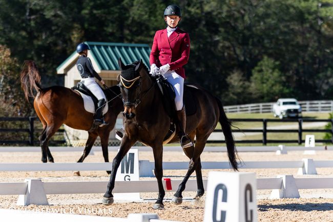 A woman is riding a horse in a dressage arena.