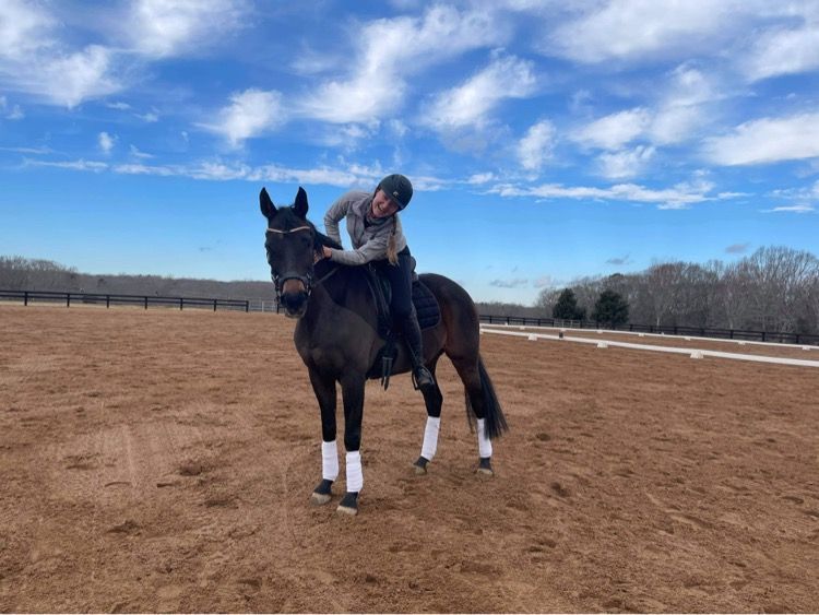 A person is riding a horse in a field.