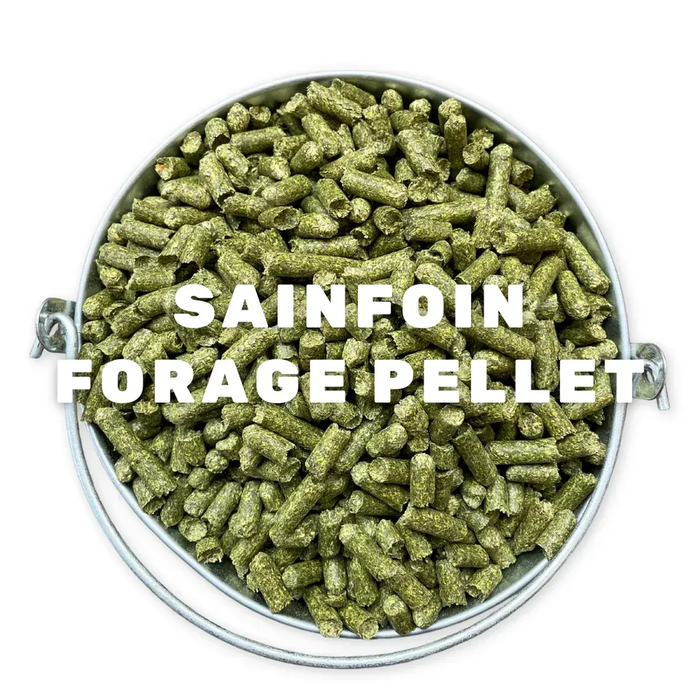 A bucket filled with green forage pellets on a white background.