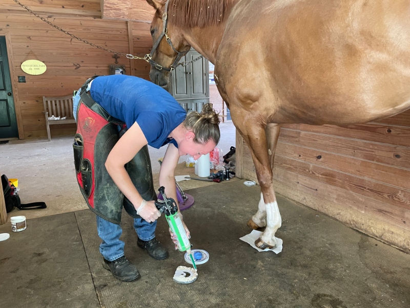 A woman is working on a horse 's hoof in a barn.