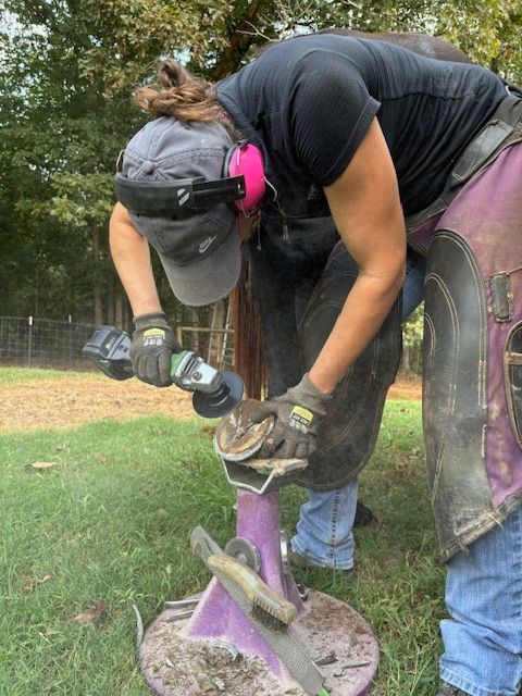 EPM rehab equine nutrition