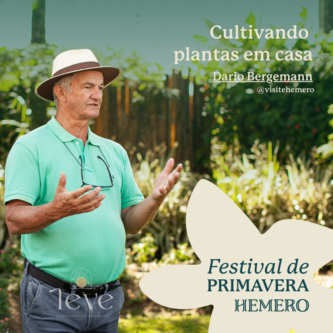 Festival de Primavera Hemero em Joinville