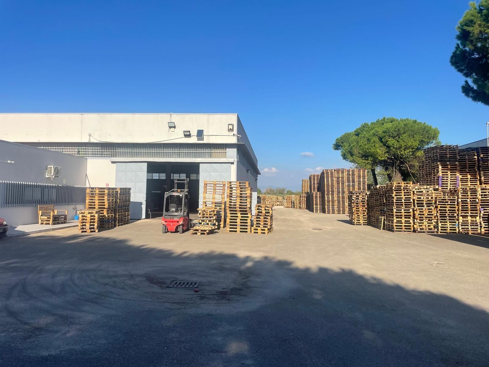 F.B.S. PALLETS VOLLA e CASORIA