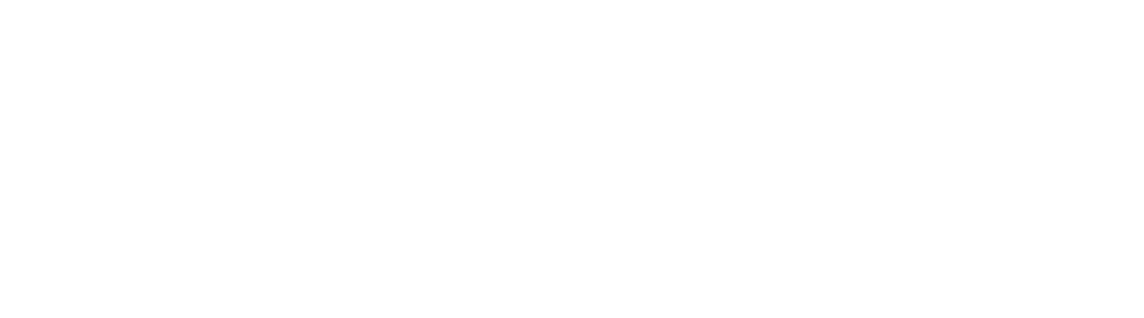 Logo Jürgen Wiesinger