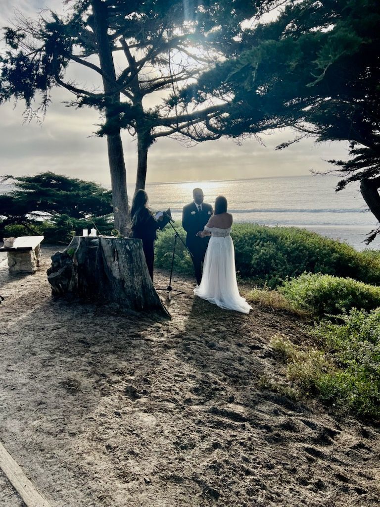 A bride and groom are standing under a tree overlooking the ocean.