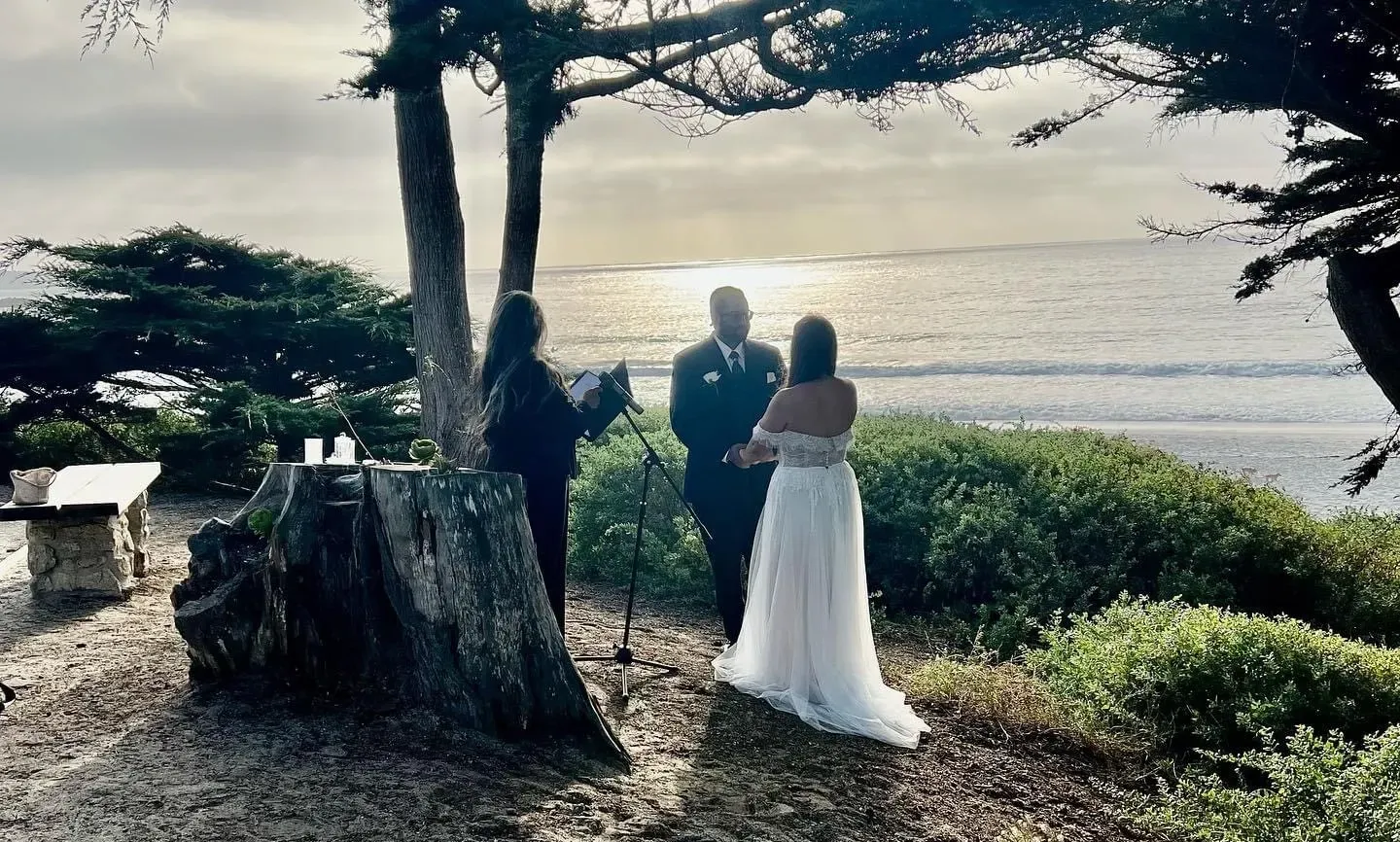 A bride and groom are standing under a tree in front of the ocean.