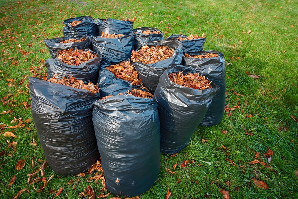 A pile of black bags filled with leaves on a lush green lawn.