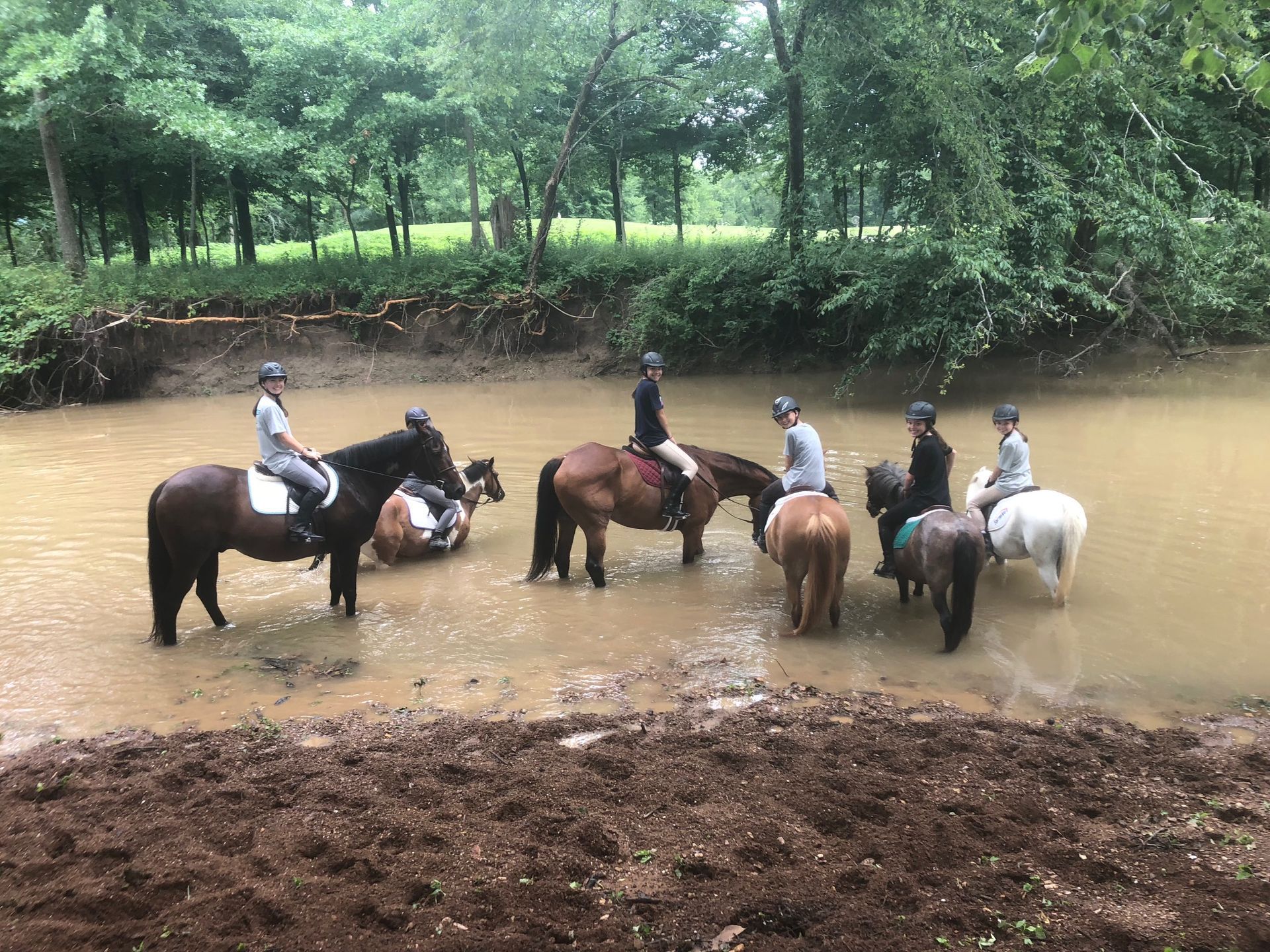 People on horseback in a muddy river, a few horses are standing while others are being ridden. Green trees in the background.