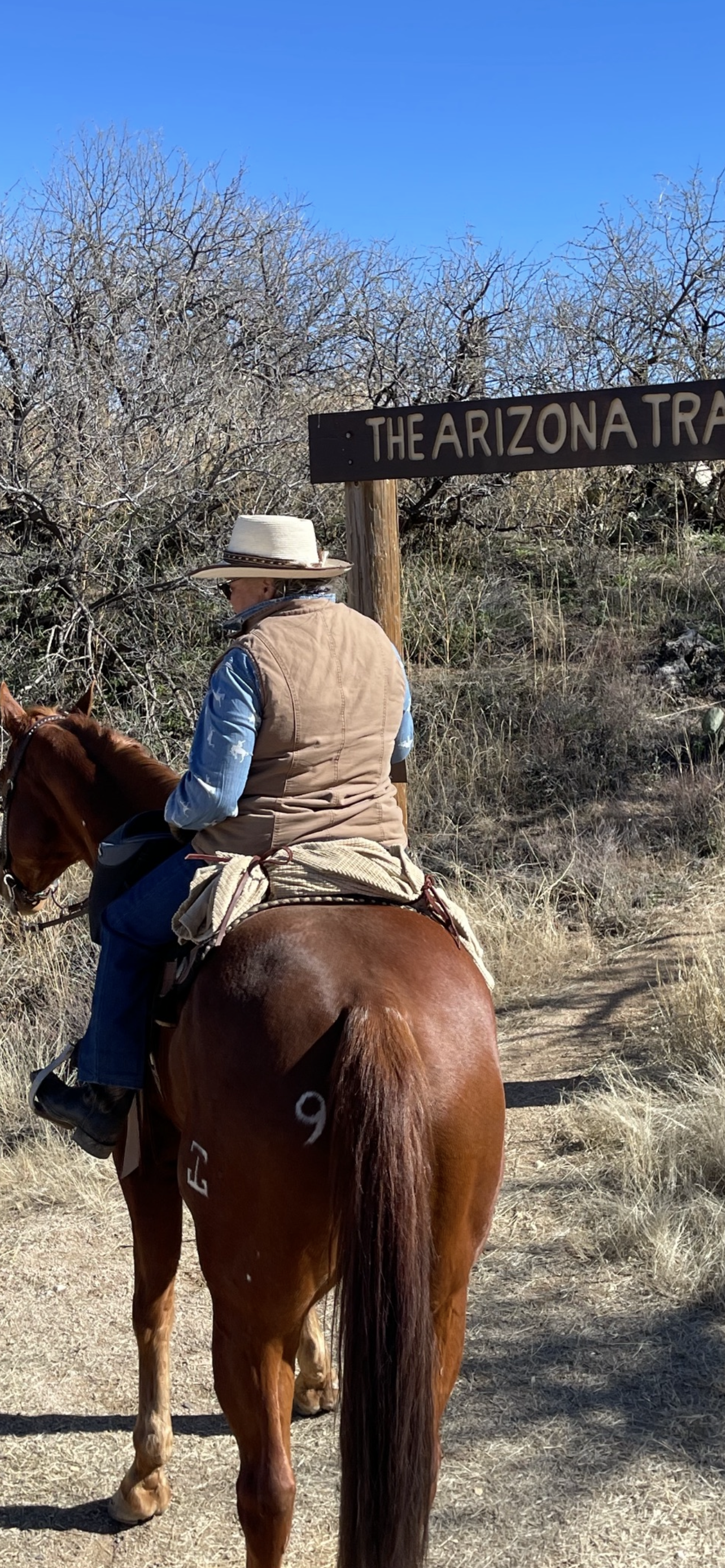 Person on horseback at
