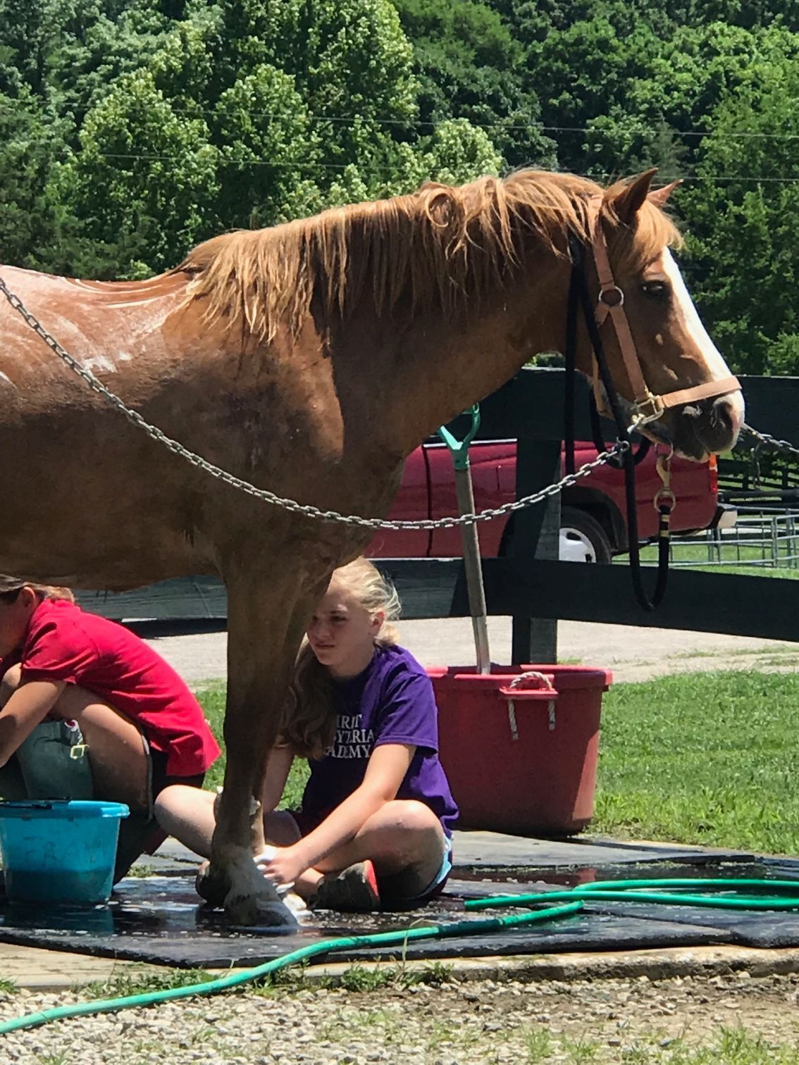 Two children washing a tan horse's legs outdoors. One child wears a purple shirt, the other a red shirt.
