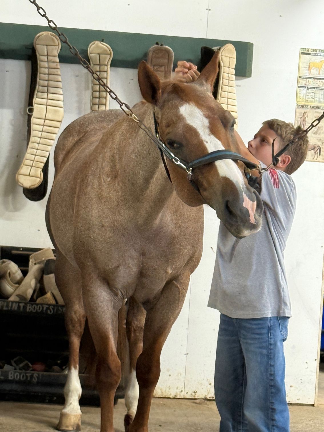 Boy with glasses holding horse's bridle, near stable wall with hanging boots.