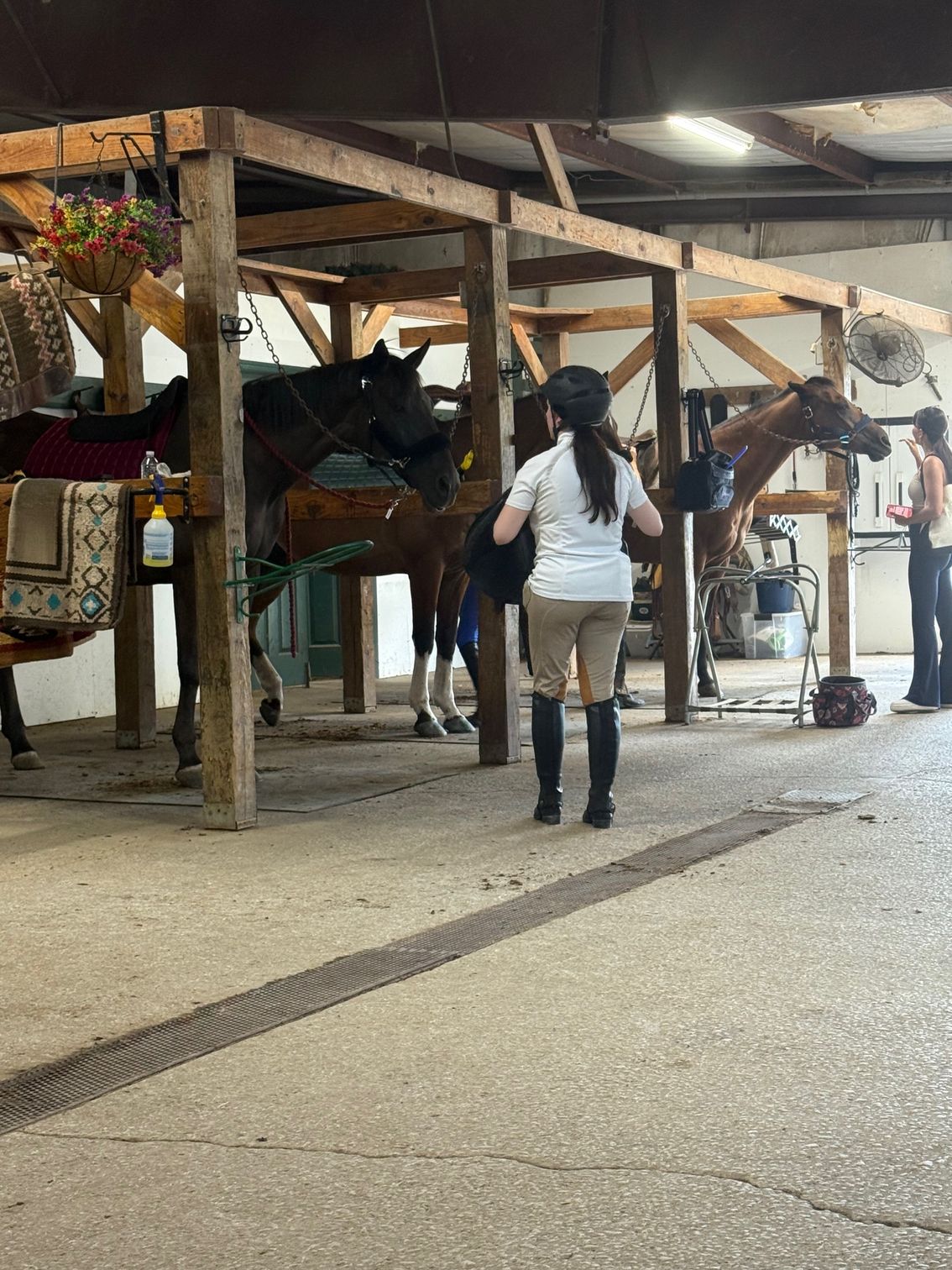 People and horses in a stable. A rider in black boots and helmet walks between two horses.