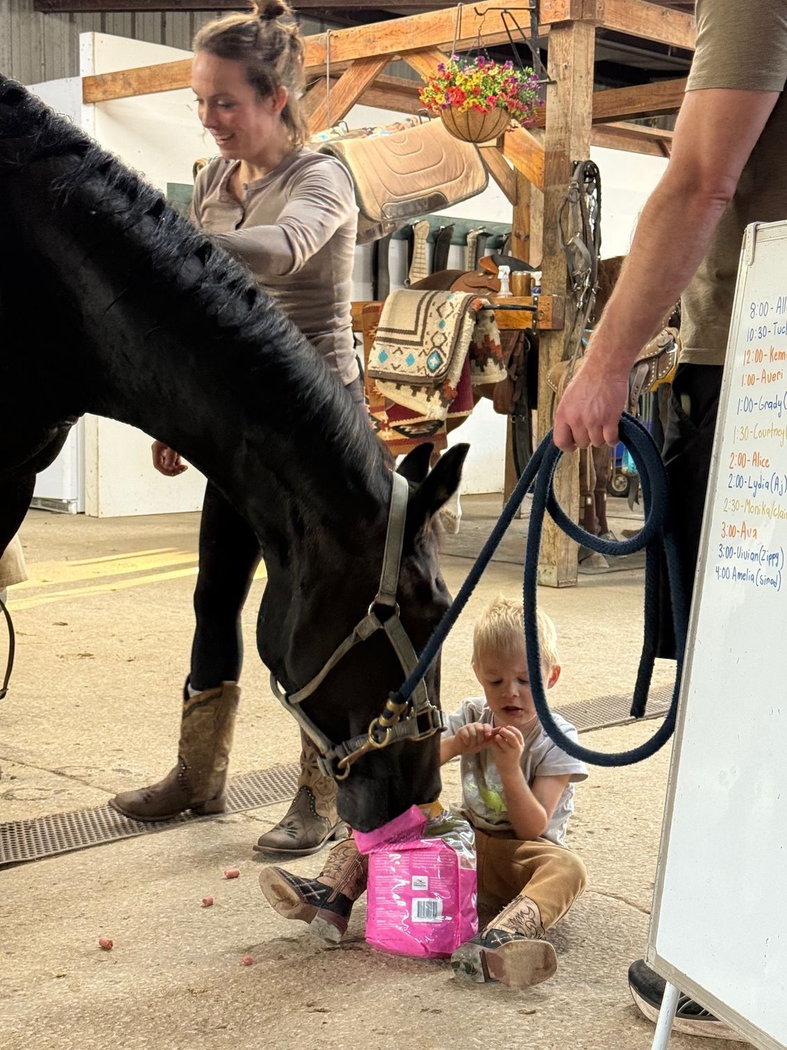 A child sits with a horse, offering it treats. An adult holds the lead; another stands behind.