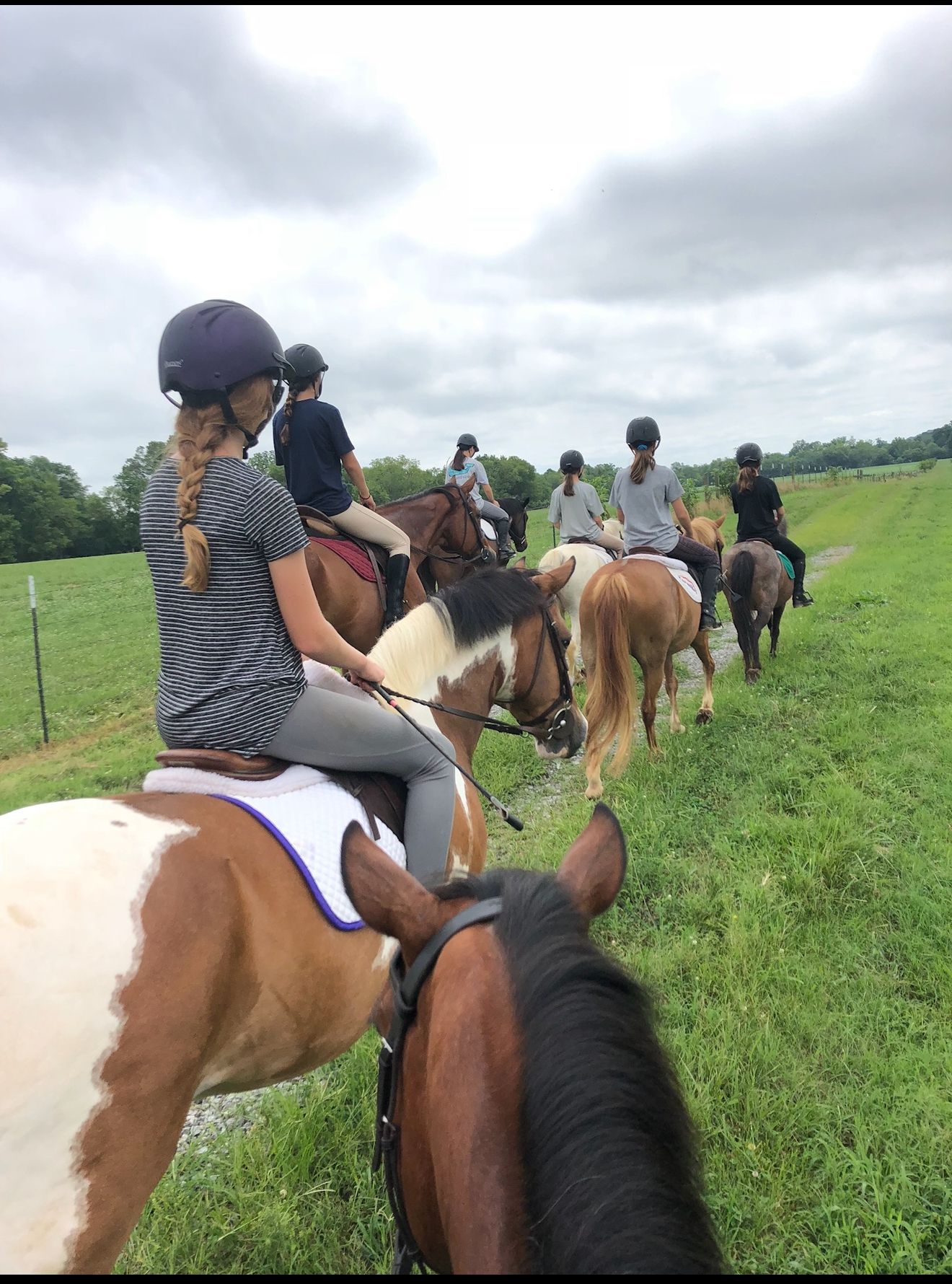 Group of people riding horses along a grassy path on a cloudy day.