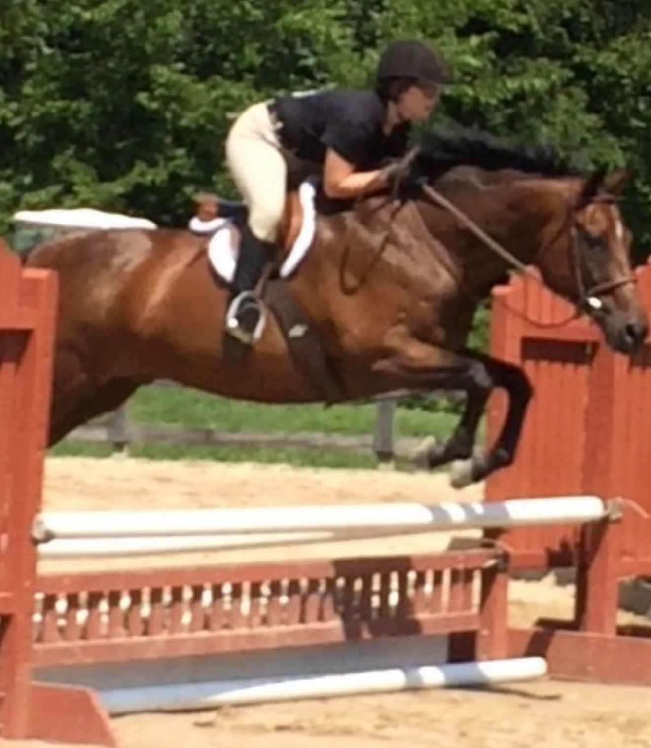 A woman is standing next to a brown horse with ribbons around its neck.
