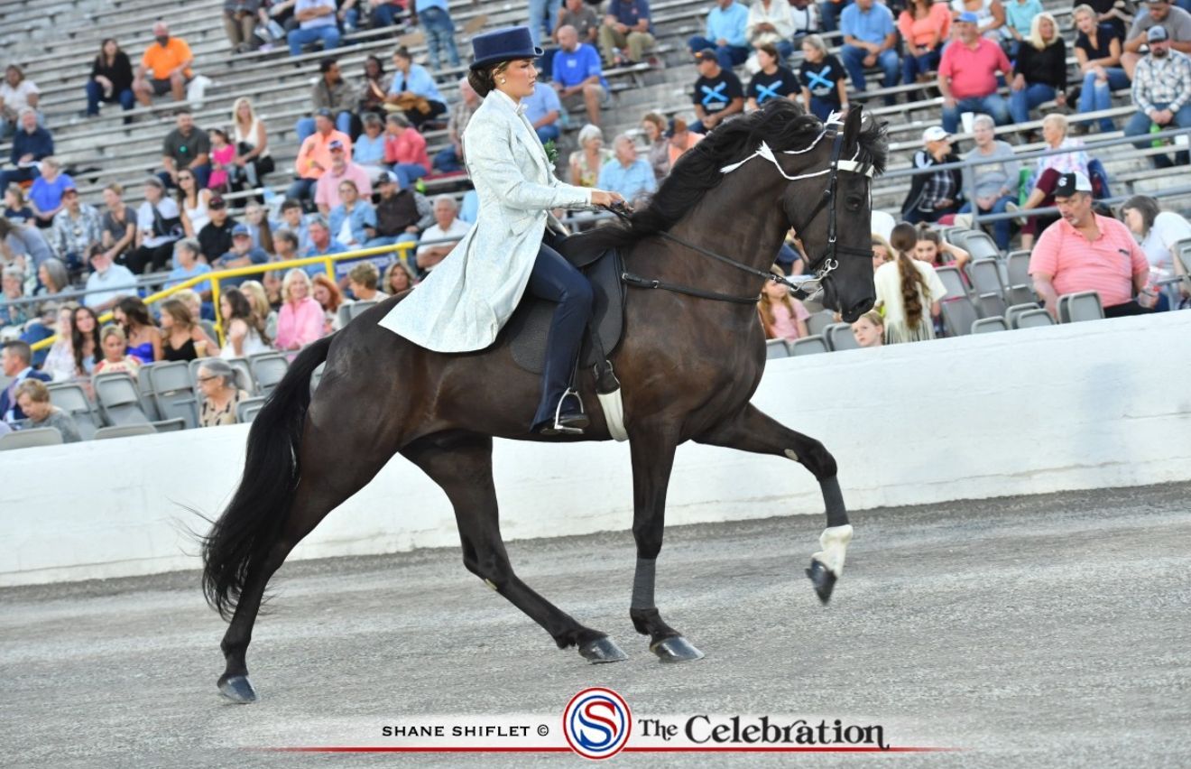 A man is riding a brown horse in a field.