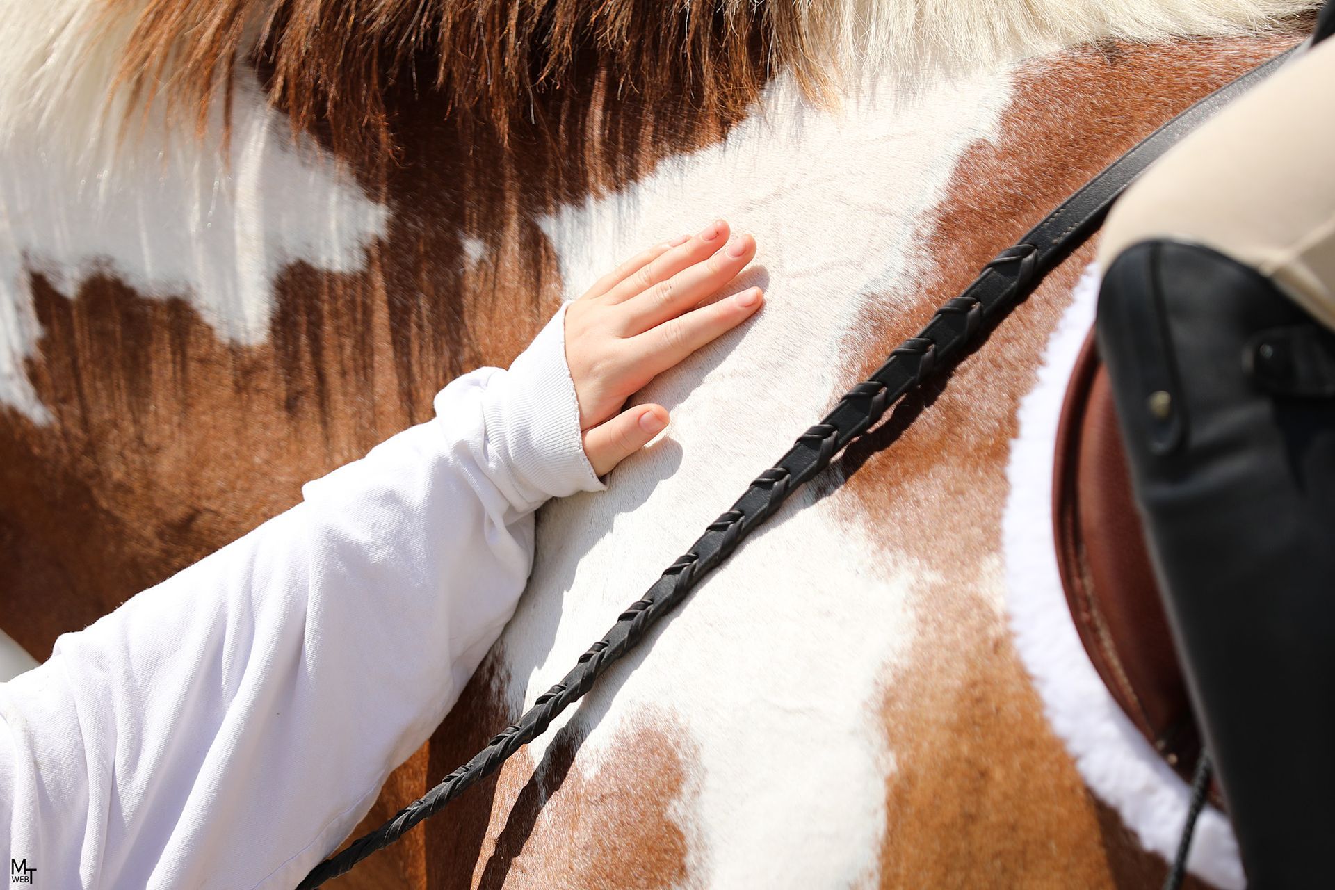 A red white and blue ribbon with a man riding a horse on it