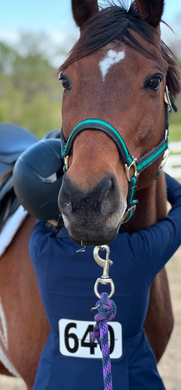 A person is hugging a brown horse with the number 640 on their back.