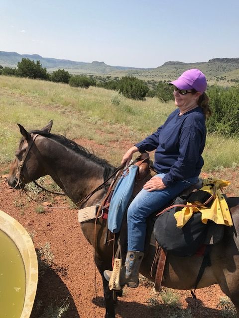 Woman on horseback, blue shirt, purple hat, outdoors, scenic, sunny day.