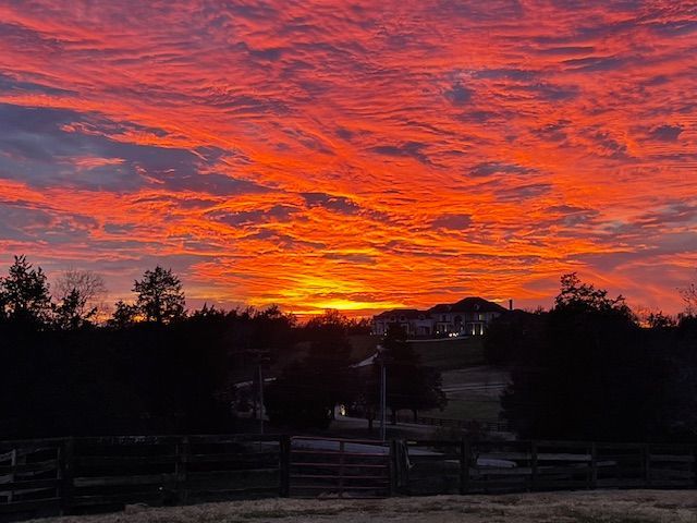 Fiery sunset with vibrant orange and red hues illuminating the sky above a dark treeline and distant buildings.