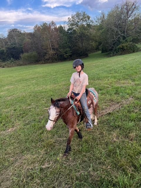 Young person wearing a helmet rides a pony on a grassy hill. Trees in the background.