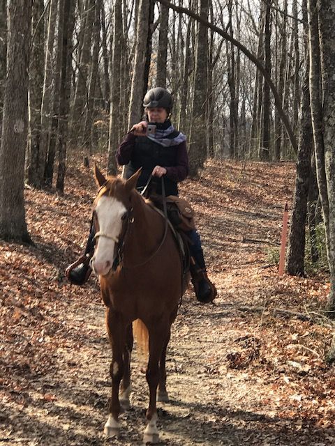 Person on a chestnut horse rides a wooded trail. The horse has a white face, rider wears helmet.