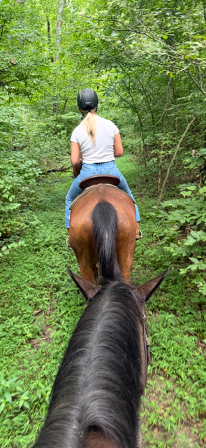 A person rides a brown horse on a wooded trail, seen from another horse's perspective.