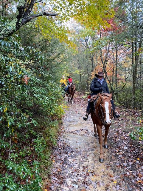 People horseback riding on a muddy forest trail in fall. Brown and red horses.