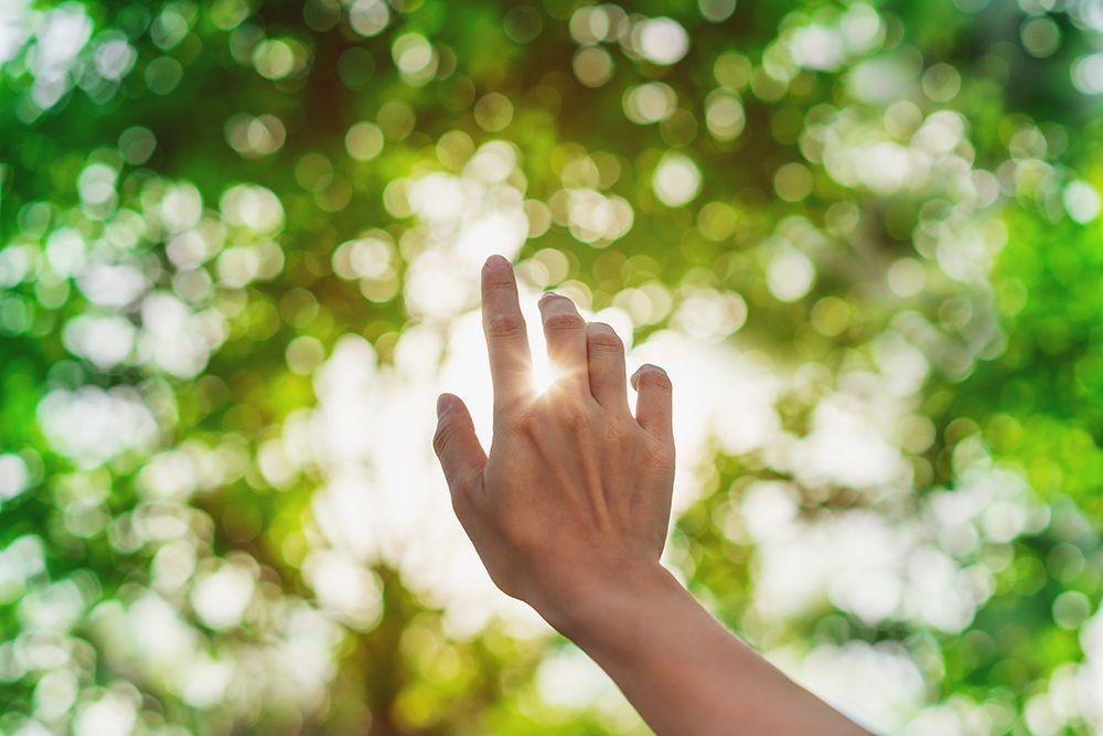 Hand reaching toward bright sunlight filtering through green foliage.