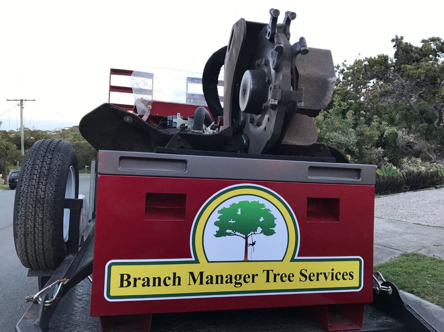 Tree Lopping Sunshine Coast Branch Manager Tree Services