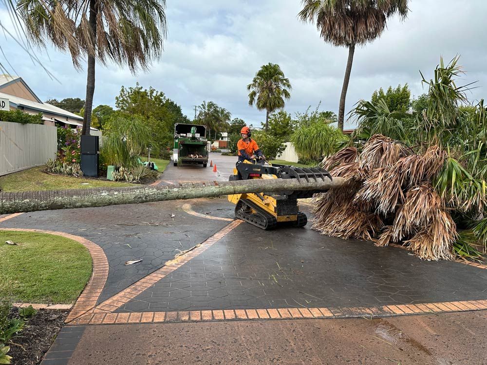 Removing The Storm Damage Tree