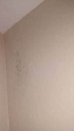 Slight mold forming on wall indicating early contamination.