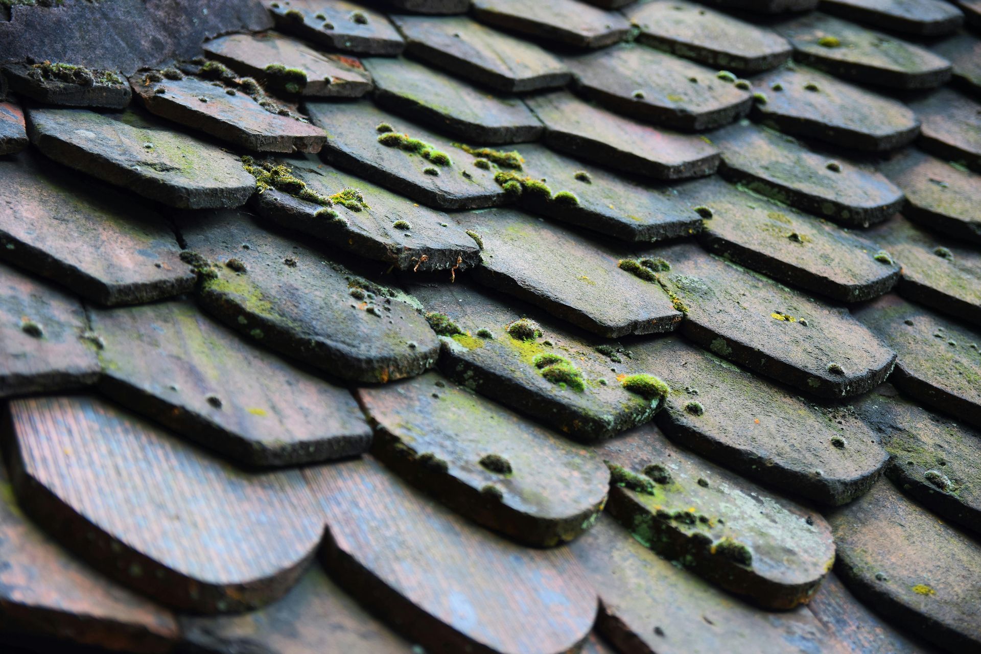 Mold mitigation services for homes in South Florida.

