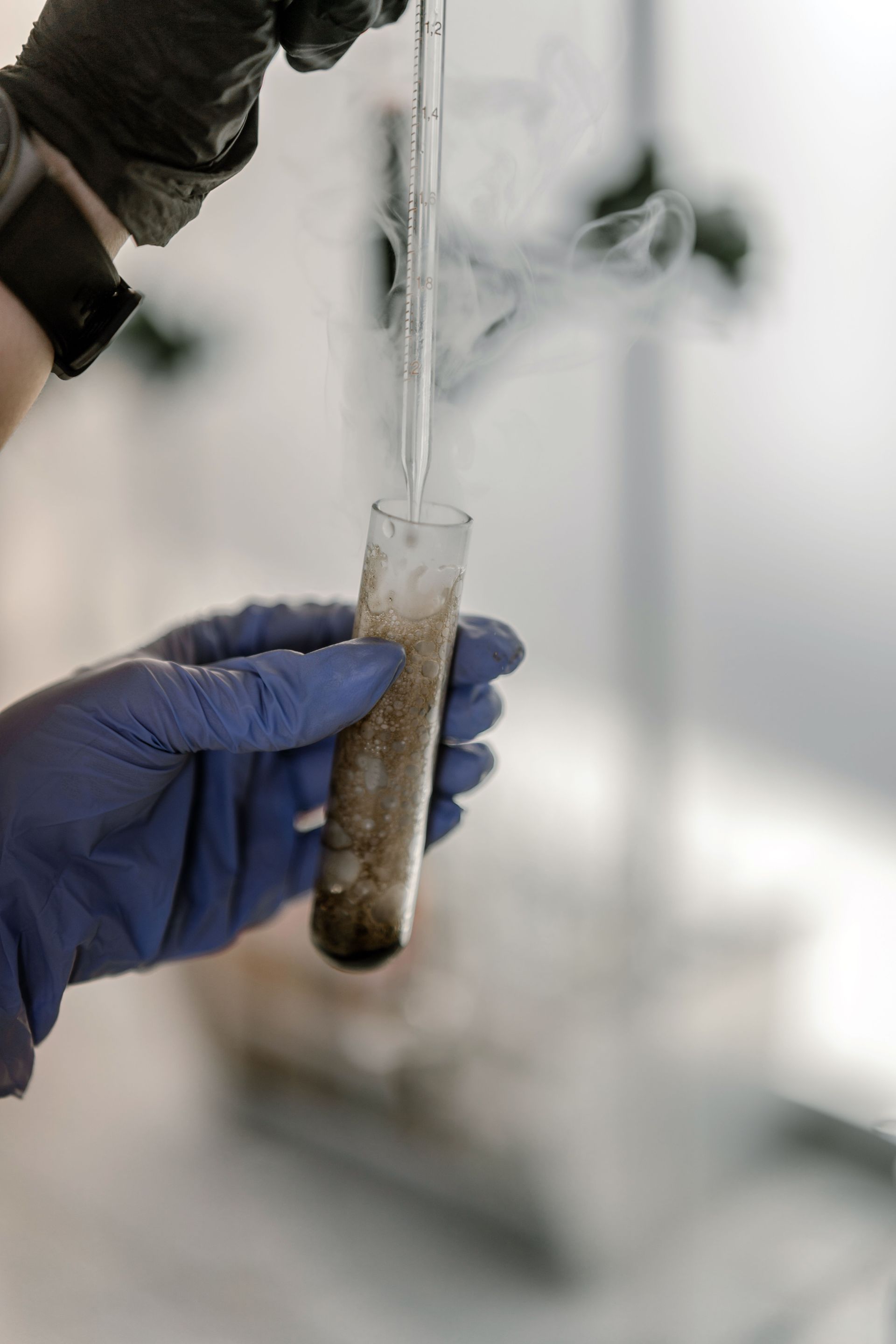 Mold test swab sample in a collection tube for lab analysis