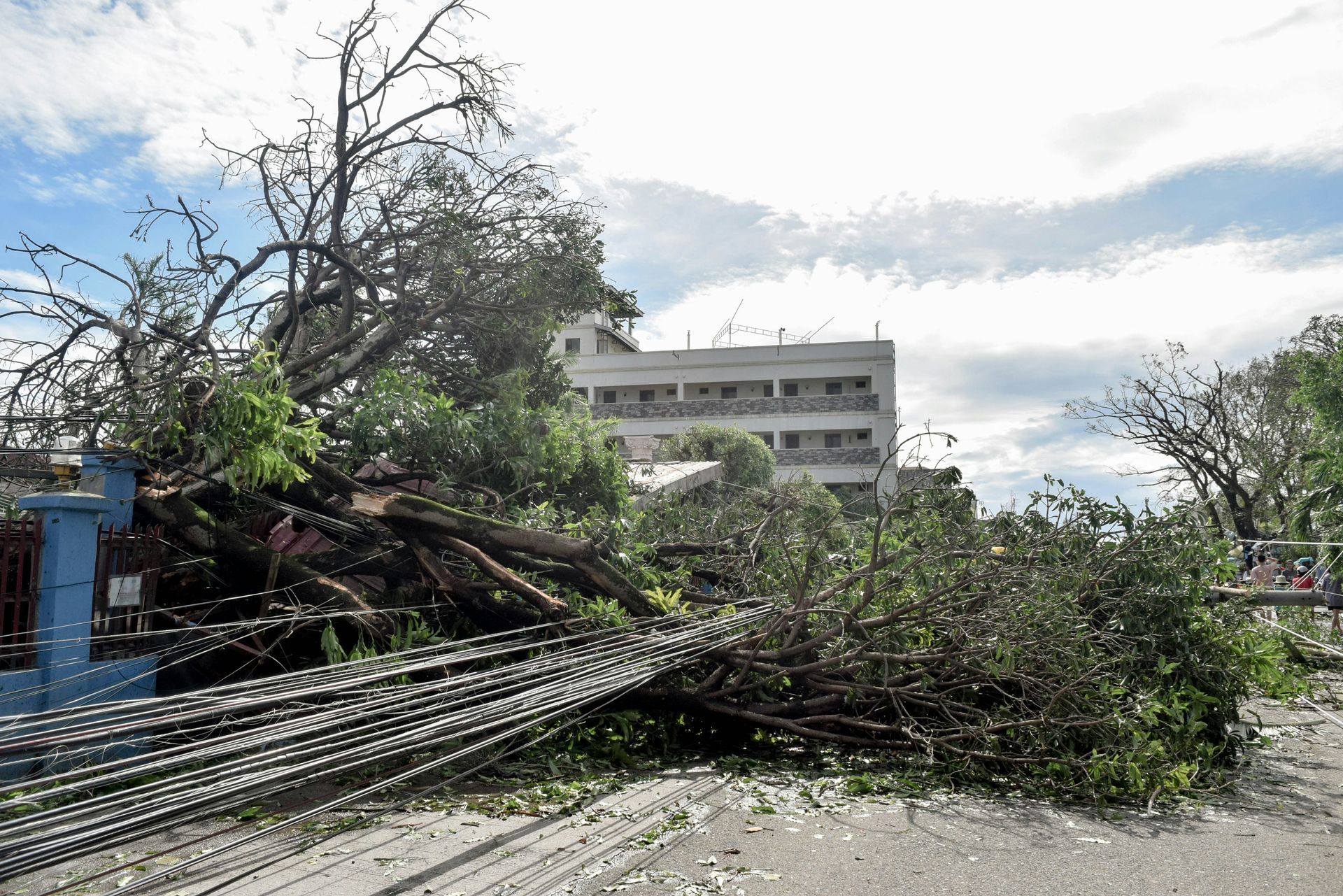 Professional storm damage cleanup restoration in Fort Myers