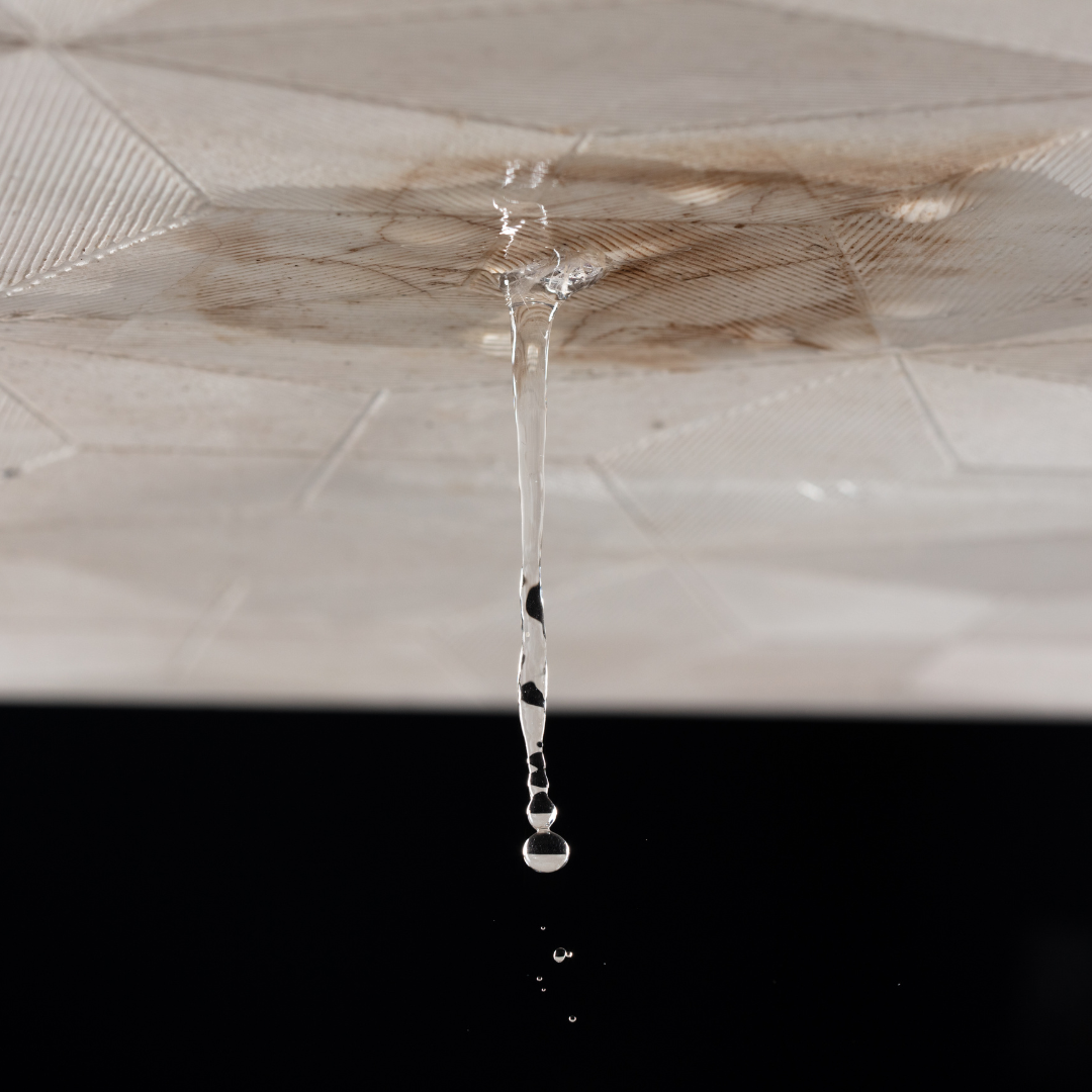 Water and Mold Restoration Services in Fort Myers